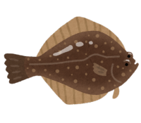 カレイ
