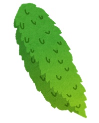 ゴーヤ