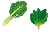 野菜