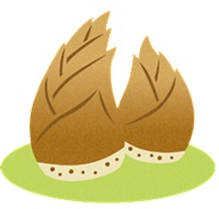 たけのこ