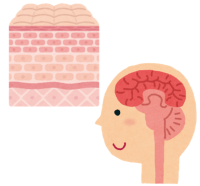 画像名称