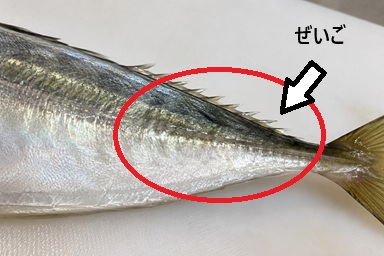 ぜいご